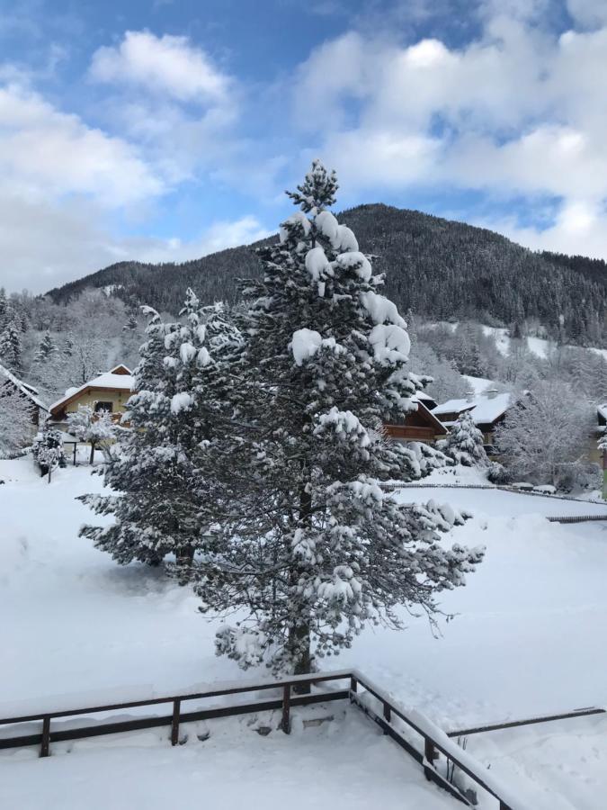 Amadee Appartements Bad Kleinkirchheim Εξωτερικό φωτογραφία