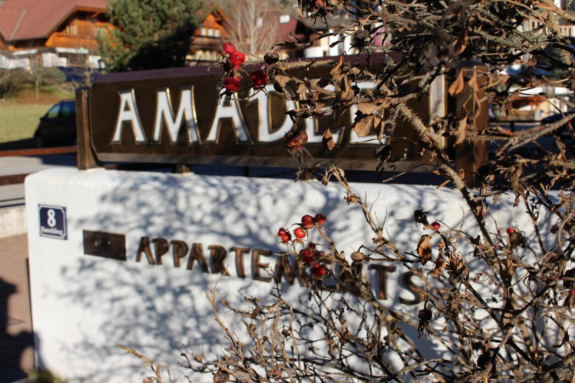 Amadee Appartements Bad Kleinkirchheim Εξωτερικό φωτογραφία