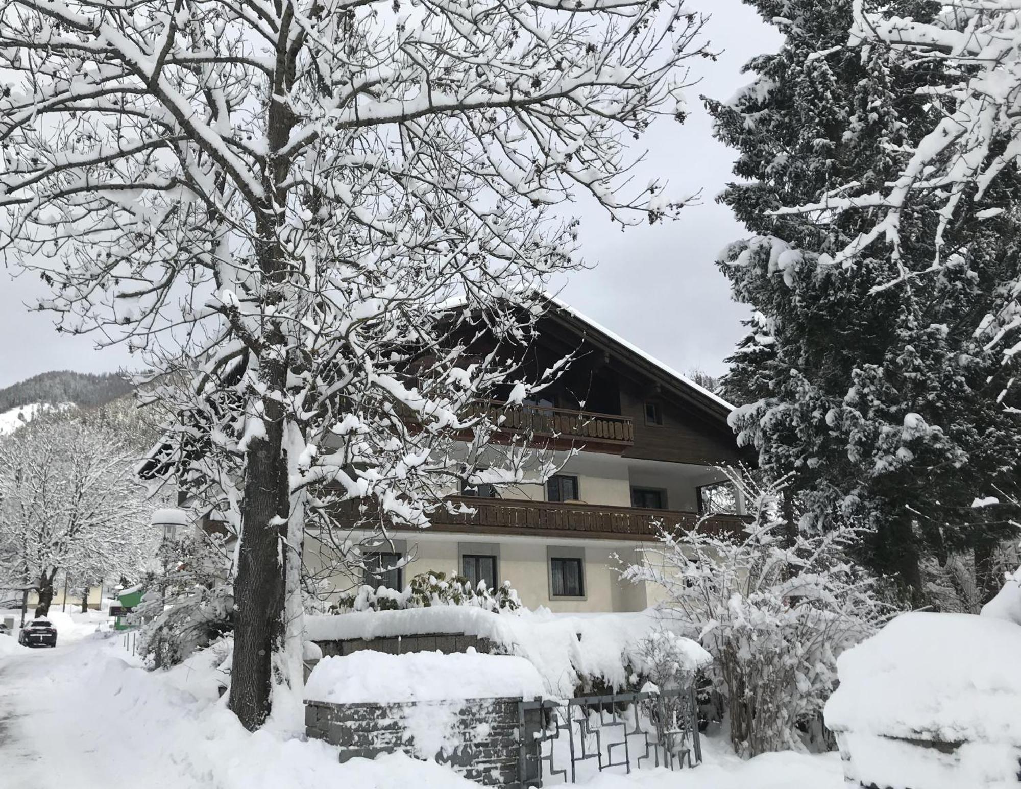 Amadee Appartements Bad Kleinkirchheim Εξωτερικό φωτογραφία